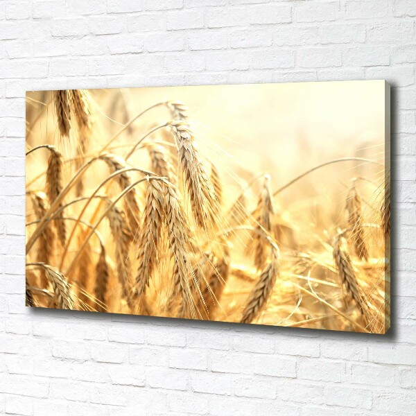 Cuadro canvas con impresión uv duradera horizontal Cereal