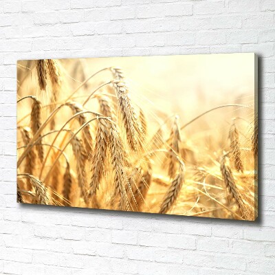 Cuadro canvas con impresión uv duradera horizontal Cereal