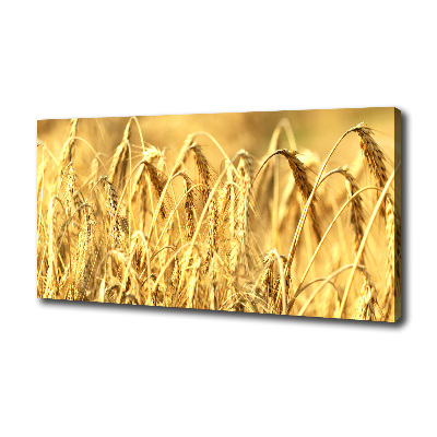 Cuadro canvas moderno de gran formato horizontal Cereal