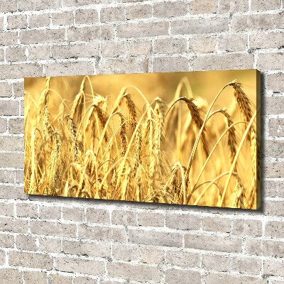 Cuadro canvas moderno de gran formato horizontal Cereal