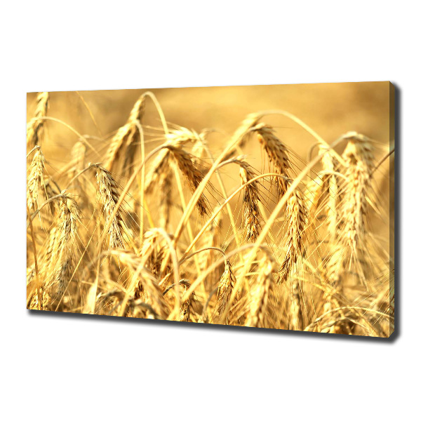 Cuadro canvas moderno de gran formato horizontal Cereal