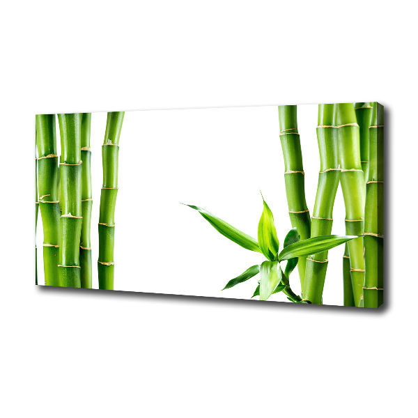 Foto en lienzo con acabado profesional horizontal Bambú