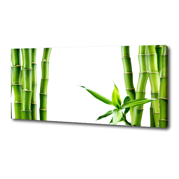 Foto en lienzo con acabado profesional horizontal Bambú