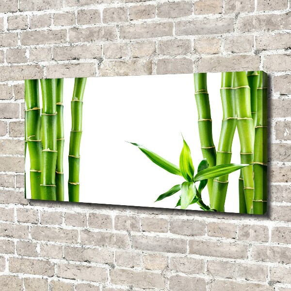 Foto en lienzo con acabado profesional horizontal Bambú