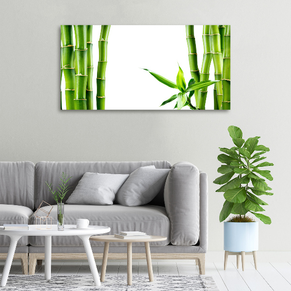 Duży foto obraz na ścianę canvas Bambus