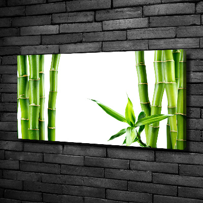 Foto en lienzo con acabado profesional horizontal Bambú