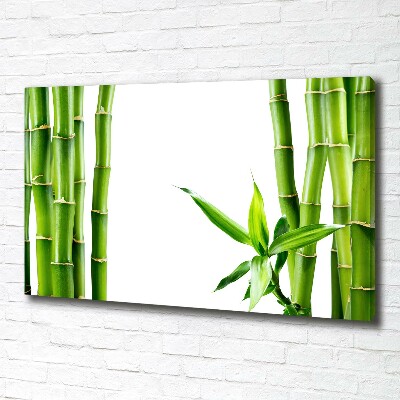 Foto en lienzo con acabado profesional horizontal Bambú