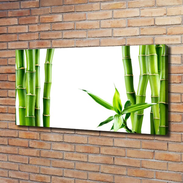 Foto en lienzo con acabado profesional horizontal Bambú