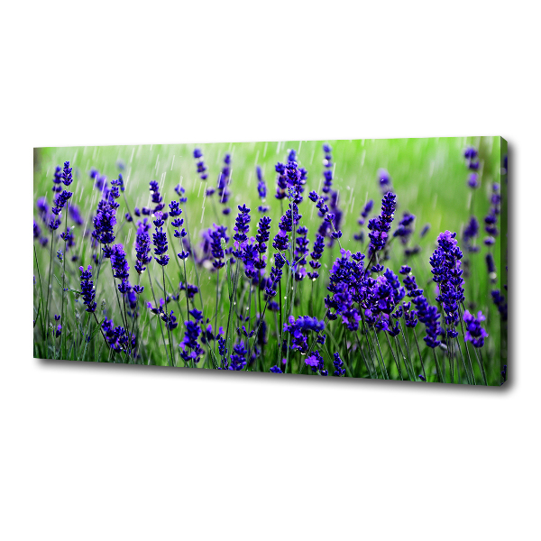 Fotocuadro en lienzo de alta calidad horizontal Lavanda