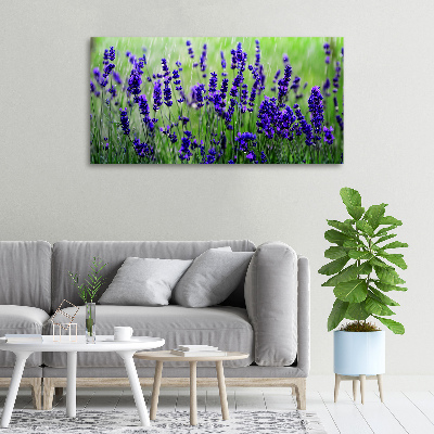 Fotocuadro en lienzo de alta calidad horizontal Lavanda