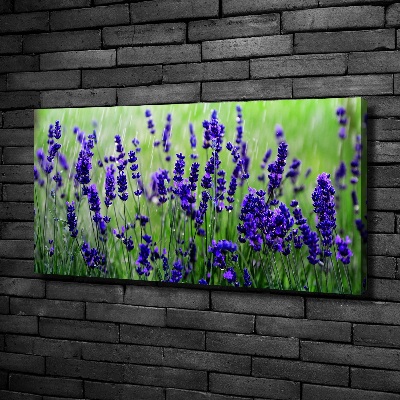 Fotocuadro en lienzo de alta calidad horizontal Lavanda