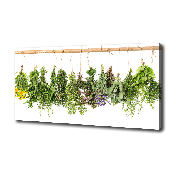 Cuadro canvas con impresión uv duradera horizontal Hierbas en una cuerda