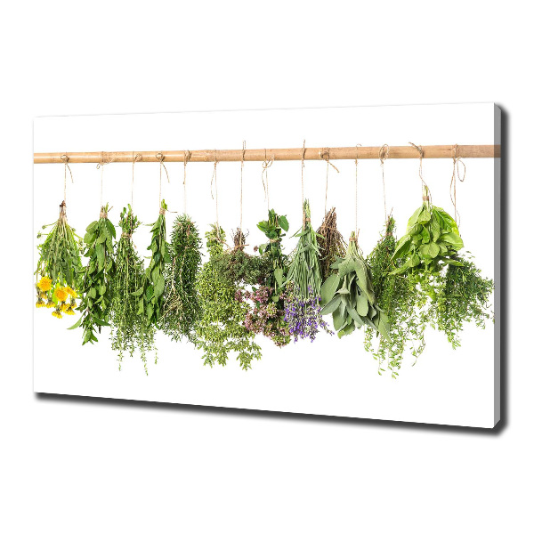 Cuadro canvas con impresión uv duradera horizontal Hierbas en una cuerda