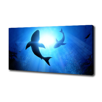 Cuadro canvas con impresión uv duradera horizontal Dos tiburones