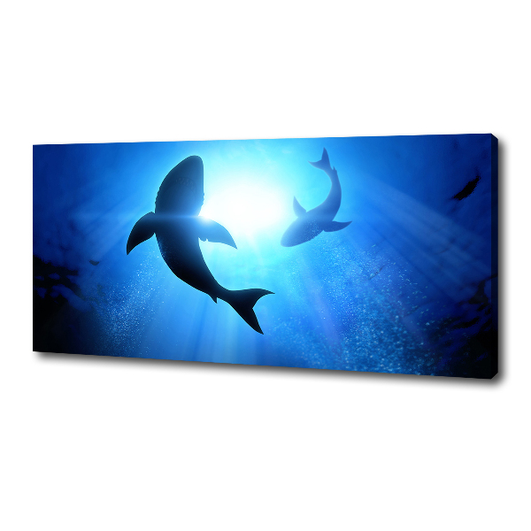 Cuadro canvas con impresión uv duradera horizontal Dos tiburones