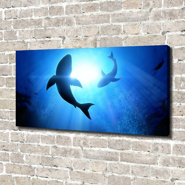 Cuadro canvas con impresión uv duradera horizontal Dos tiburones