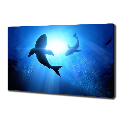 Cuadro canvas con impresión uv duradera horizontal Dos tiburones