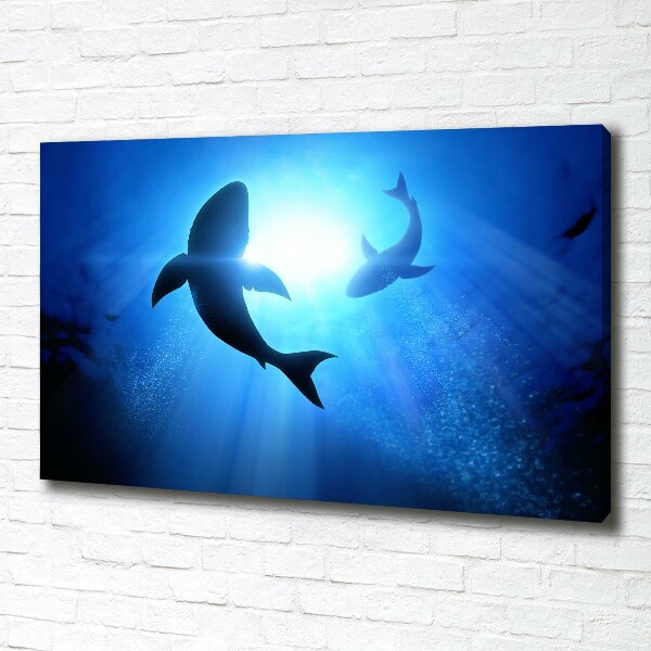 Cuadro canvas con impresión uv duradera horizontal Dos tiburones