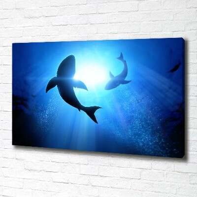 Cuadro canvas con impresión uv duradera horizontal Dos tiburones