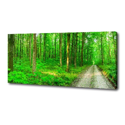 Cuadro canvas con impresión uv duradera horizontal Árboles en el bosque