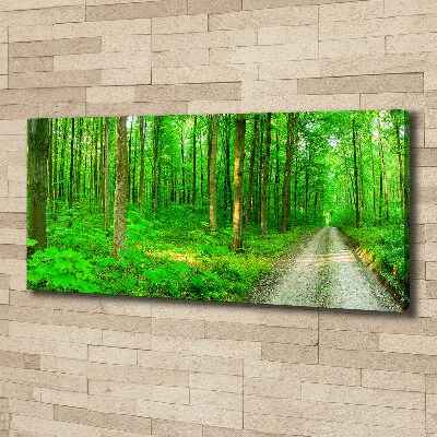 Cuadro canvas con impresión uv duradera horizontal Árboles en el bosque