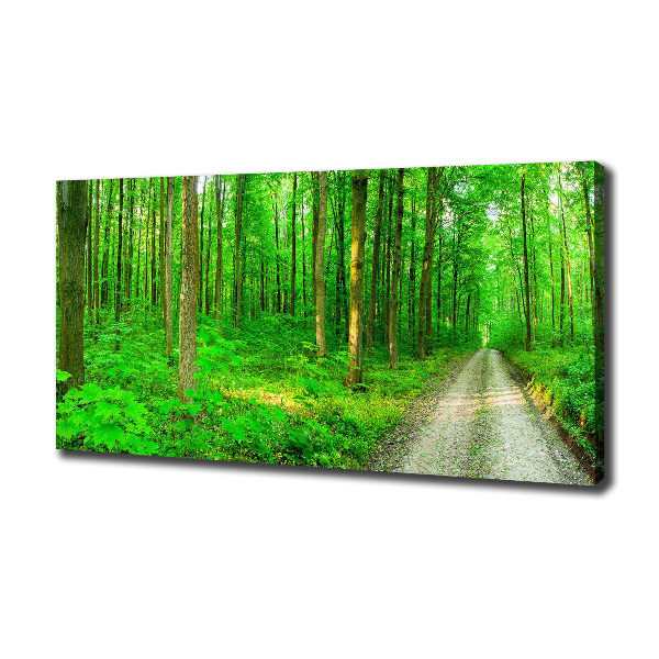 Cuadro canvas con impresión uv duradera horizontal Árboles en el bosque