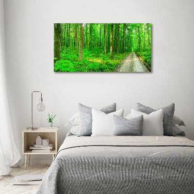 Cuadro canvas con impresión uv duradera horizontal Árboles en el bosque