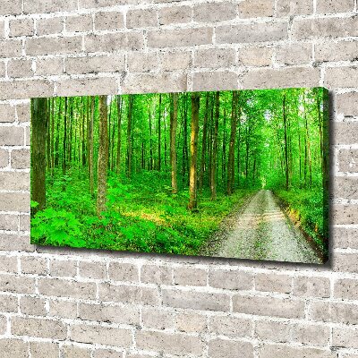 Cuadro canvas con impresión uv duradera horizontal Árboles en el bosque