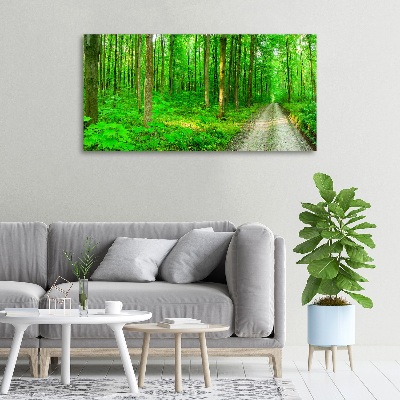 Cuadro canvas con impresión uv duradera horizontal Árboles en el bosque