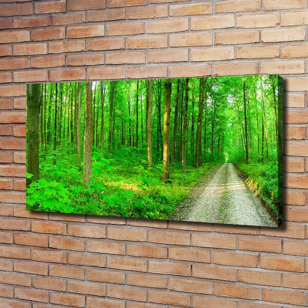 Cuadro canvas con impresión uv duradera horizontal Árboles en el bosque