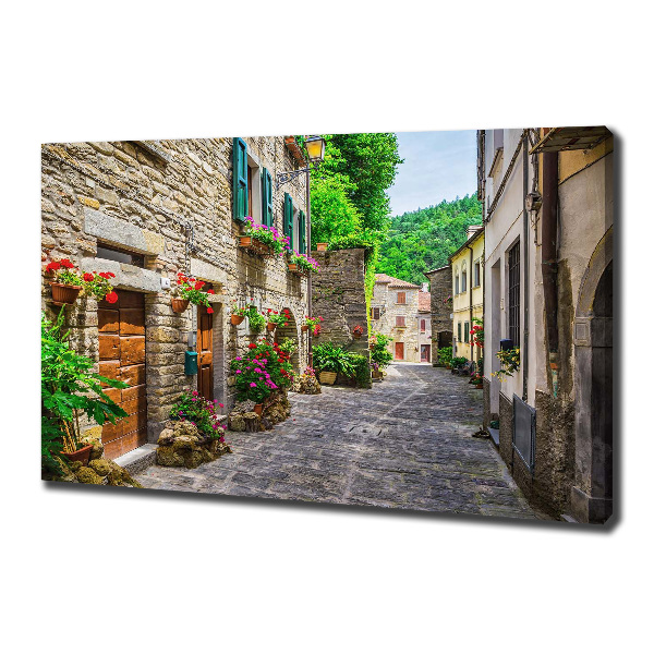 Fotocuadro en lienzo de alta calidad horizontal Una calle con encanto