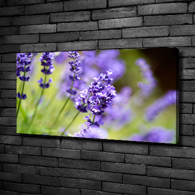 Cuadro canvas moderno de gran formato horizontal Lavanda
