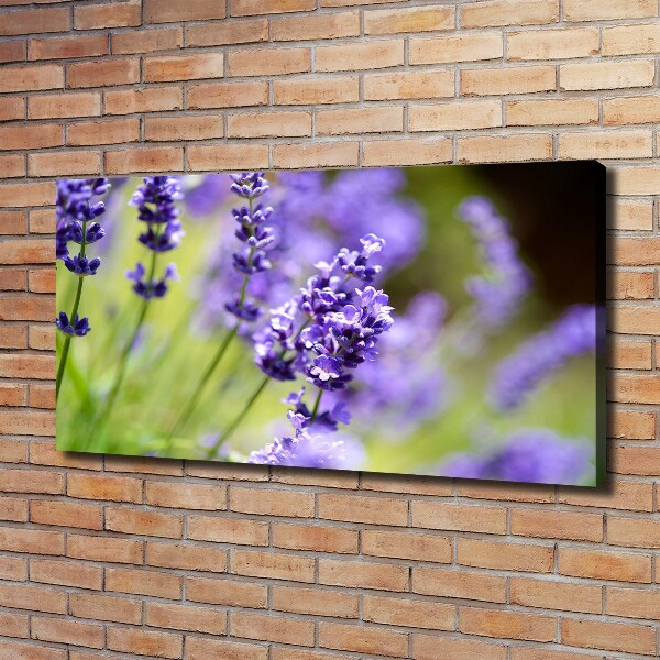 Cuadro canvas moderno de gran formato horizontal Lavanda