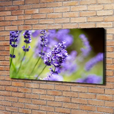 Cuadro canvas moderno de gran formato horizontal Lavanda