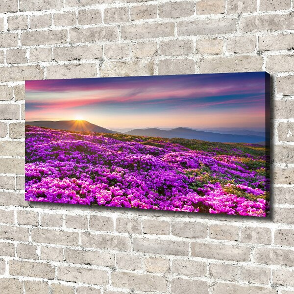 Fotocuadro en lienzo de alta calidad horizontal Flores en las montañas