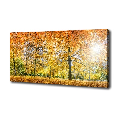 Cuadro canvas con impresión uv duradera horizontal Bosque en otoño