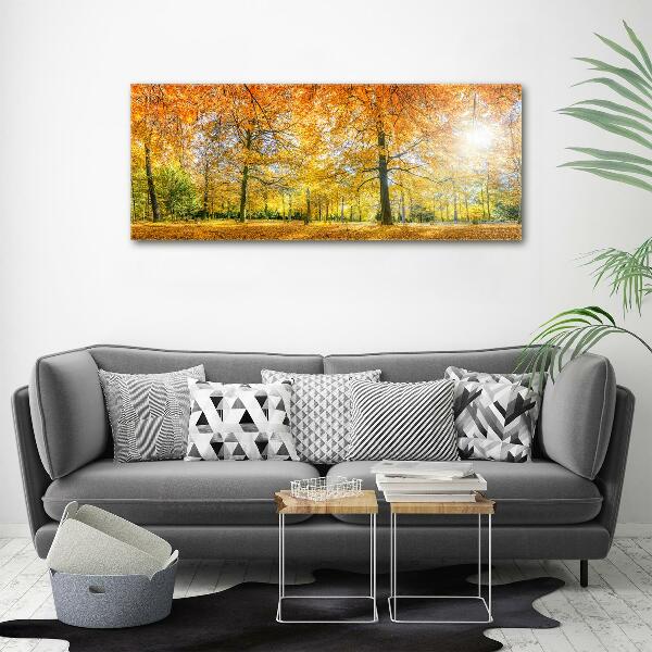 Cuadro canvas con impresión uv duradera horizontal Bosque en otoño