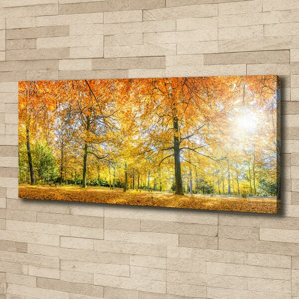 Cuadro canvas con impresión uv duradera horizontal Bosque en otoño