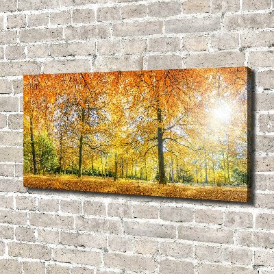 Cuadro canvas con impresión uv duradera horizontal Bosque en otoño