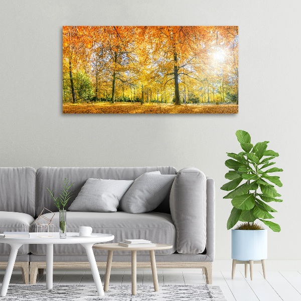 Cuadro canvas con impresión uv duradera horizontal Bosque en otoño
