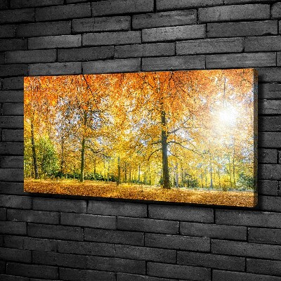 Cuadro canvas con impresión uv duradera horizontal Bosque en otoño