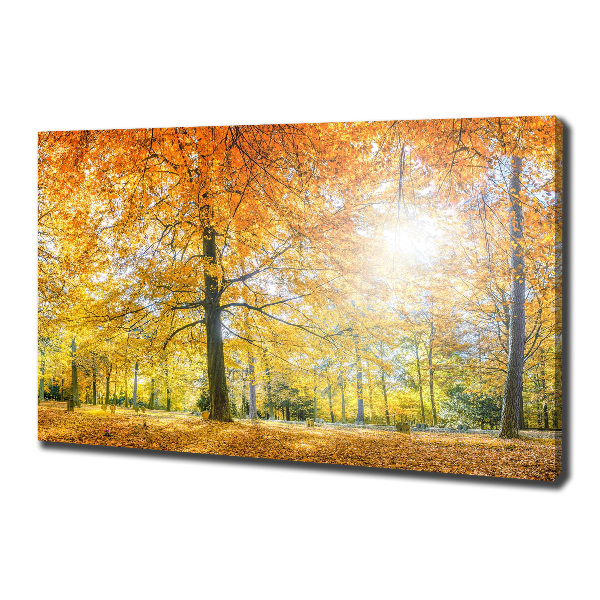 Cuadro canvas con impresión uv duradera horizontal Bosque en otoño