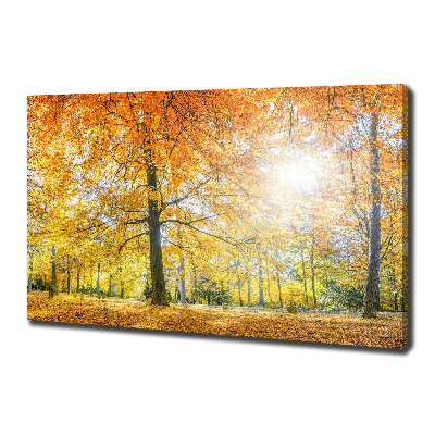 Cuadro canvas con impresión uv duradera horizontal Bosque en otoño