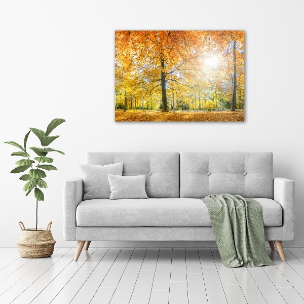 Cuadro canvas con impresión uv duradera horizontal Bosque en otoño