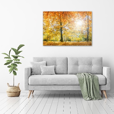 Cuadro canvas con impresión uv duradera horizontal Bosque en otoño