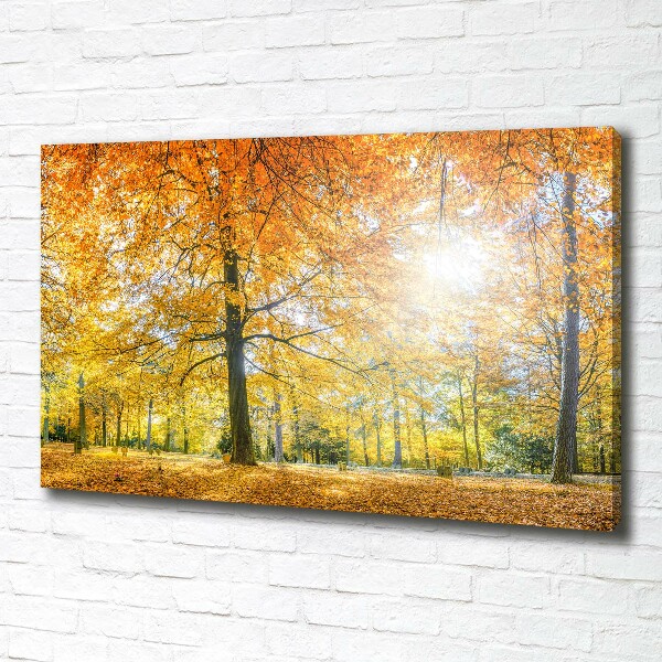 Cuadro canvas con impresión uv duradera horizontal Bosque en otoño