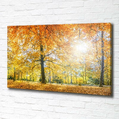 Cuadro canvas con impresión uv duradera horizontal Bosque en otoño