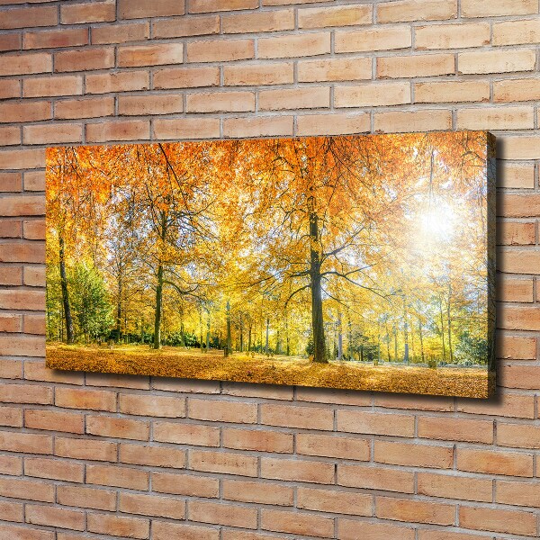 Cuadro canvas con impresión uv duradera horizontal Bosque en otoño