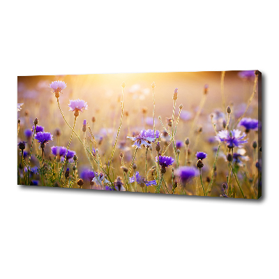 Cuadro canvas moderno de gran formato horizontal Flores silvestres