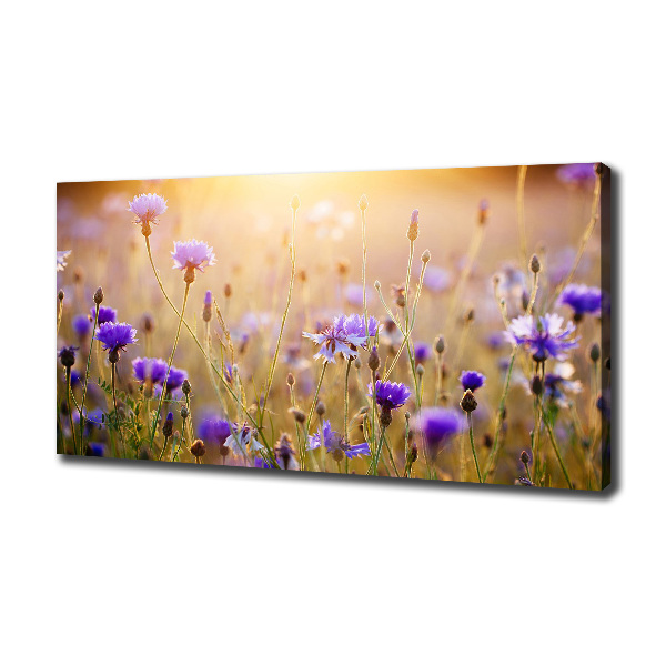 Cuadro canvas moderno de gran formato horizontal Flores silvestres